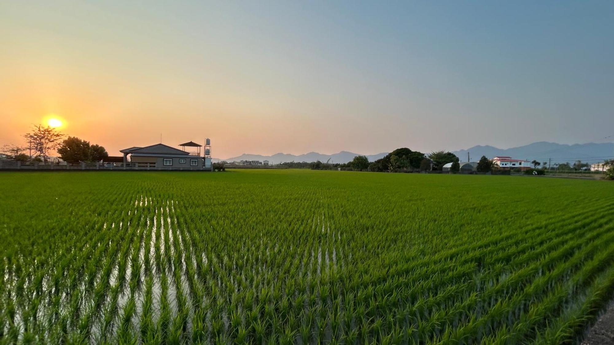 Mei Nong Villa Mei-nung Exteriér fotografie